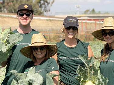 Team members volunteer their time during IMPACT Day 2021