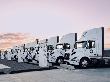 EV trucks lined up at dusk